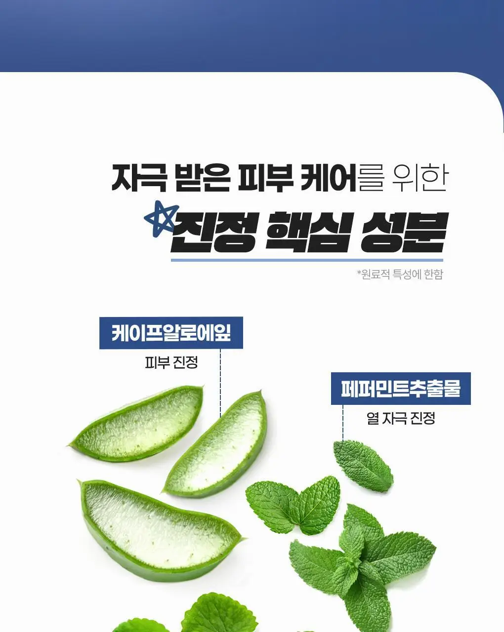 [쉐이빙&클렌징] 아이디얼 포 맨 쉐이빙 앤 클렌징 올인원 폼 100mL 상세페이지 11